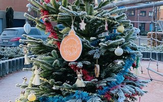 Afbeelding van een kerstboom van Buurtkracht